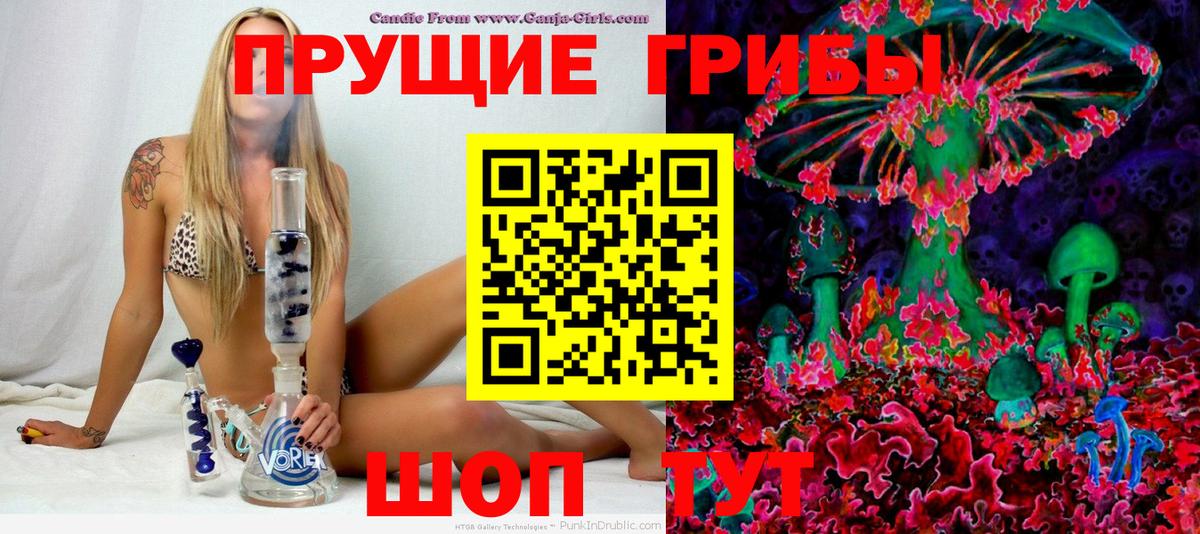 Псилоцибиновые грибы Psilocybe  Вход с VPN  Дальнегорск 