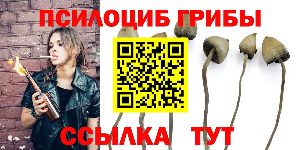Галлюциногенные грибы мицелий Дальнегорск